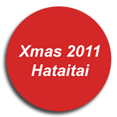 Xmas Hataitai